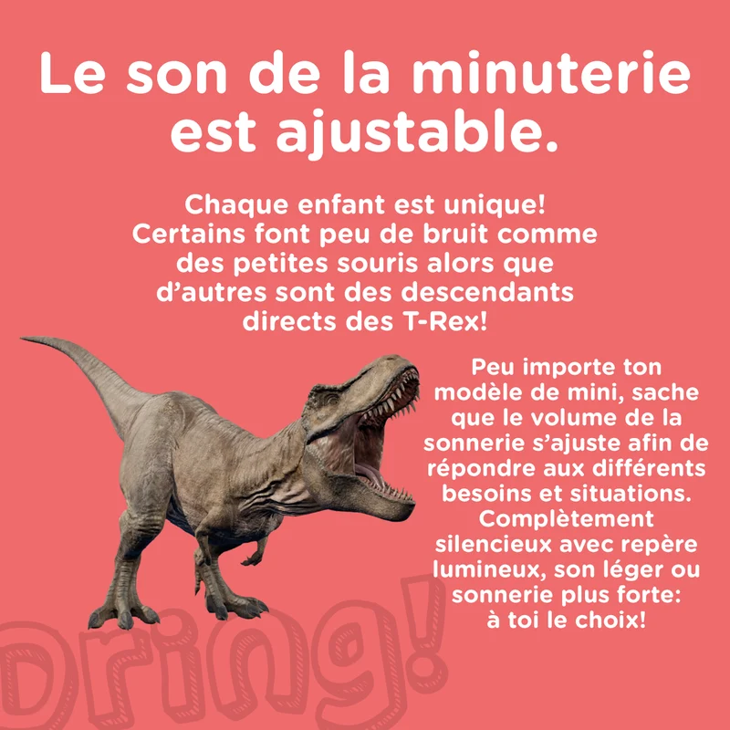 Mini minuteur visuel magnétique