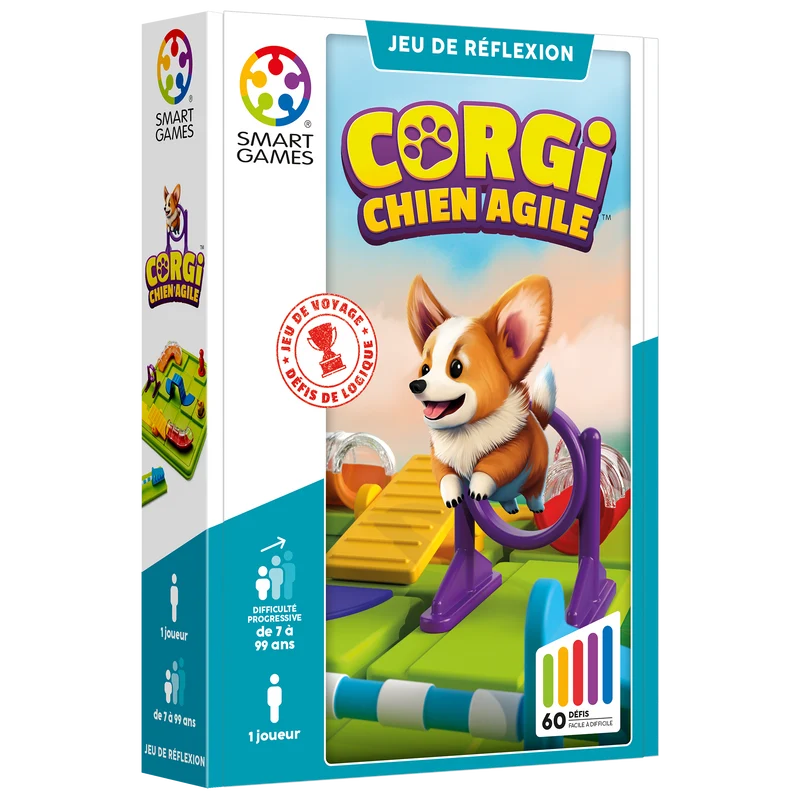 Corgi, chien agile