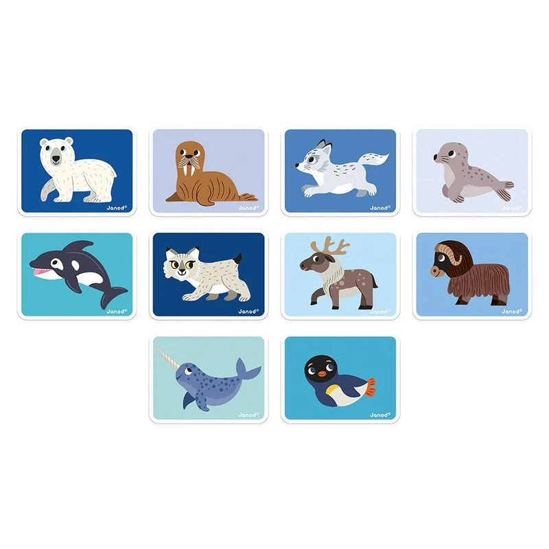 Magnetibook - Animaux Polaire