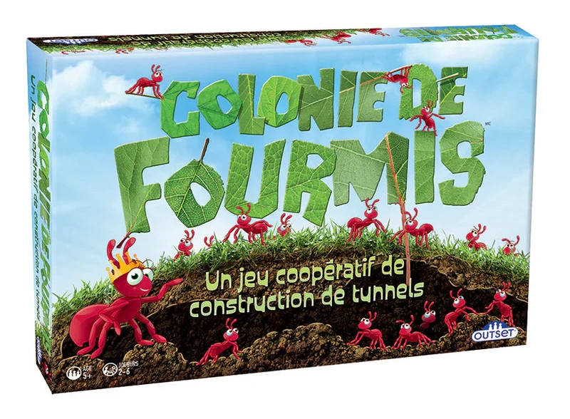 Colonie de fourmis