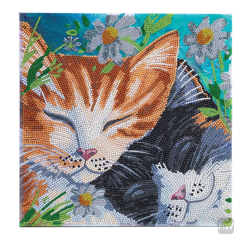 Crystal Art sur cadre: Sieste de chats