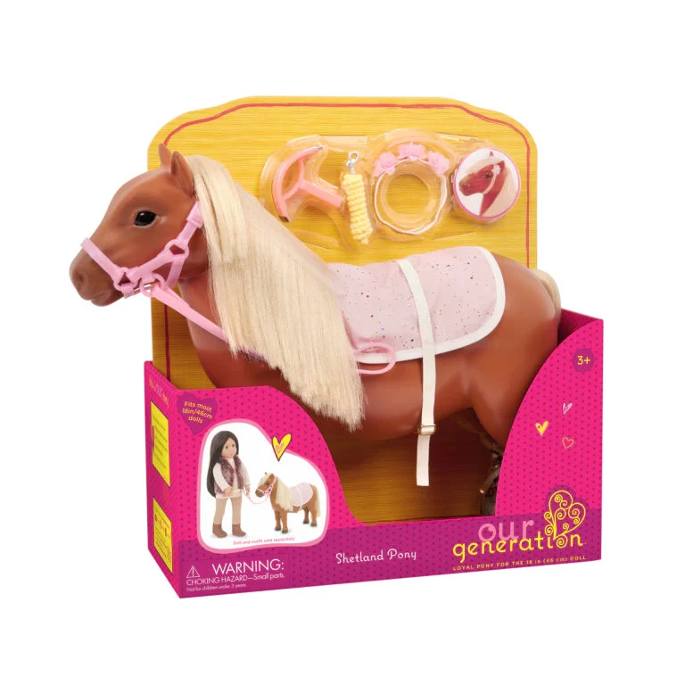 Poney Shetland & accessoires