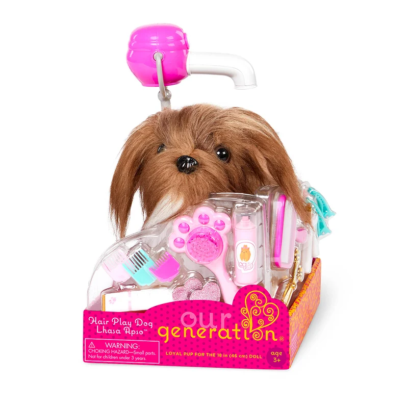 Lhasa Apso à coiffer