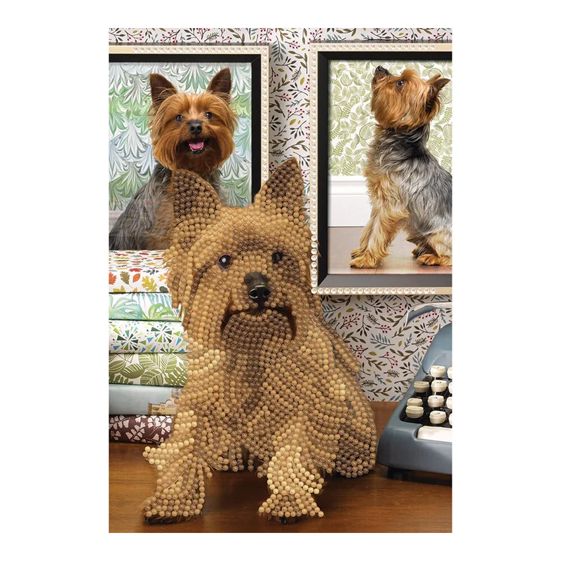 Cahier de note joli chien