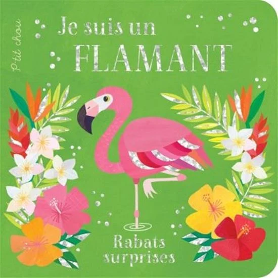 Je suis un flamand