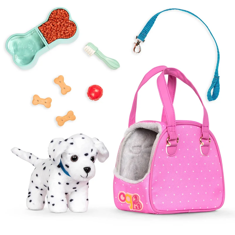 Chiot dalmatien et accessoires