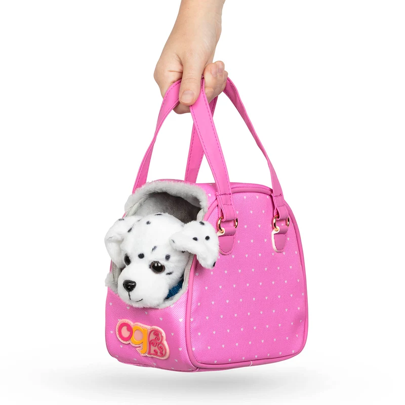 Chiot dalmatien et accessoires
