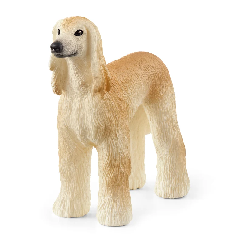 Chien Afghan