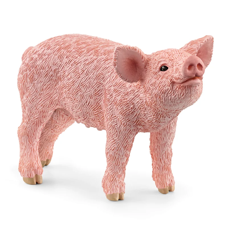 Cochonnet