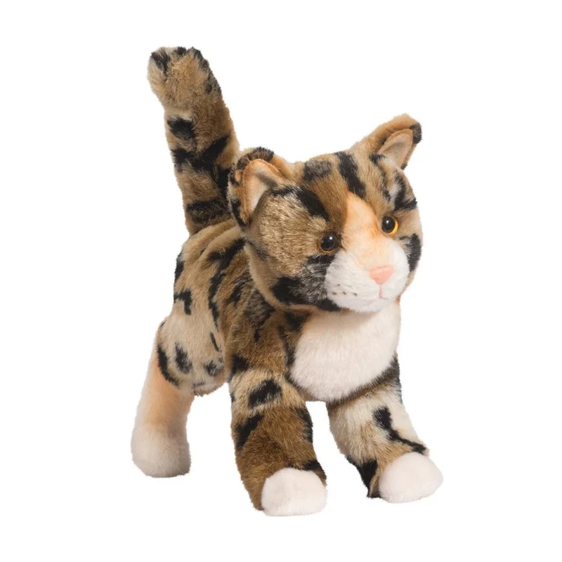 Tashette Chat de Bengal