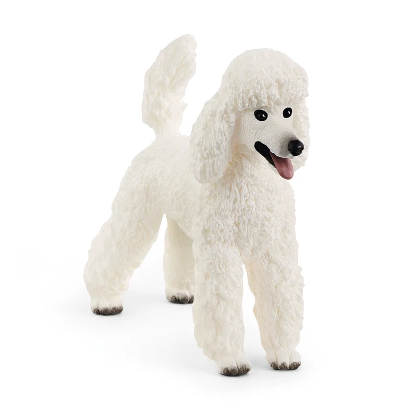 Caniche