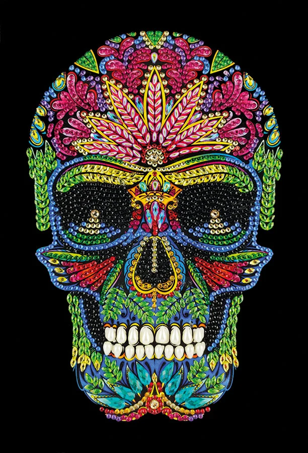 Peinture diamants cahier Skull 6,9'' X 10''