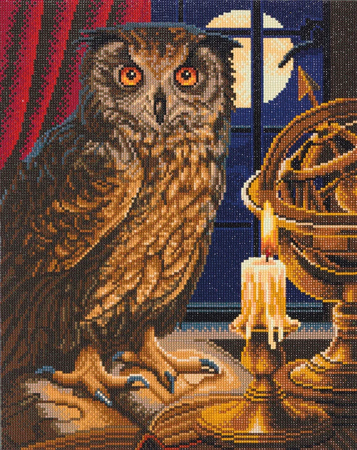 Peinture diamants The Astrologer Owl