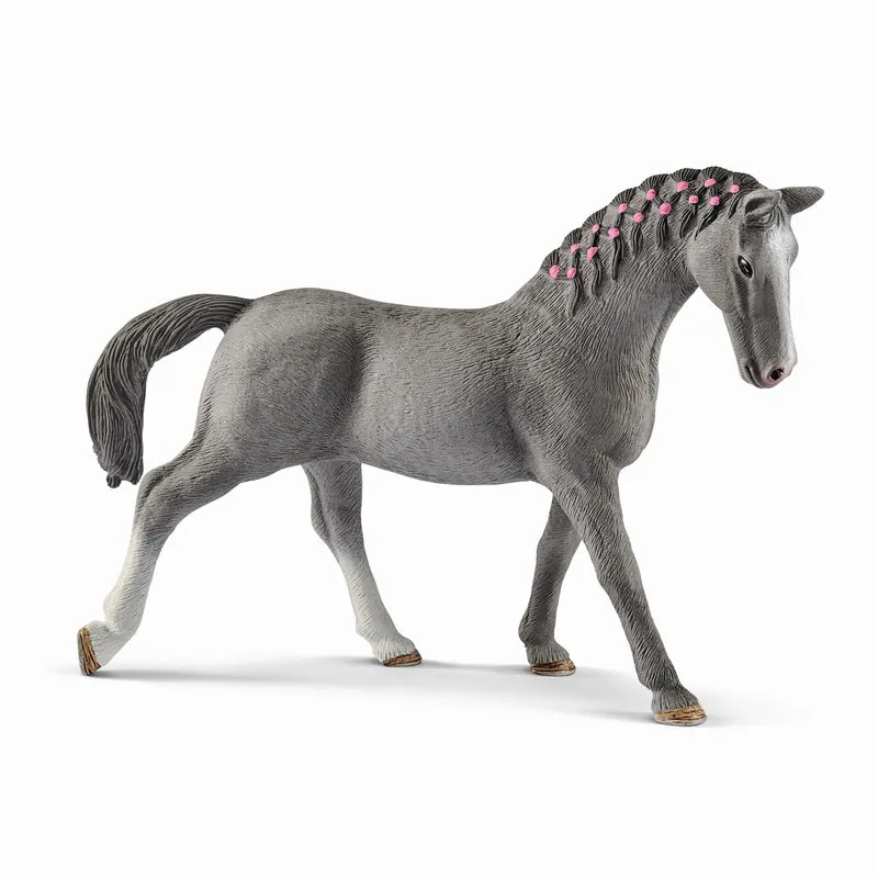 Jument Trakehnen