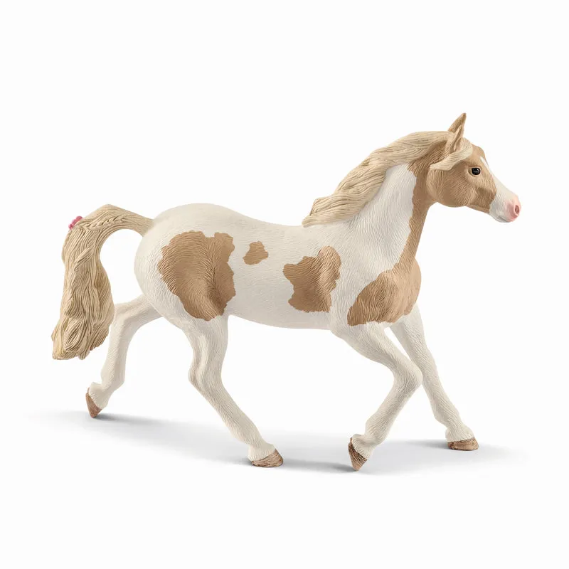 Jument Paint Horse