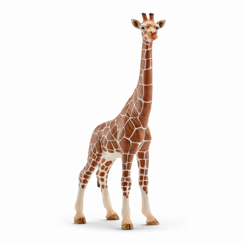 Girafe femelle