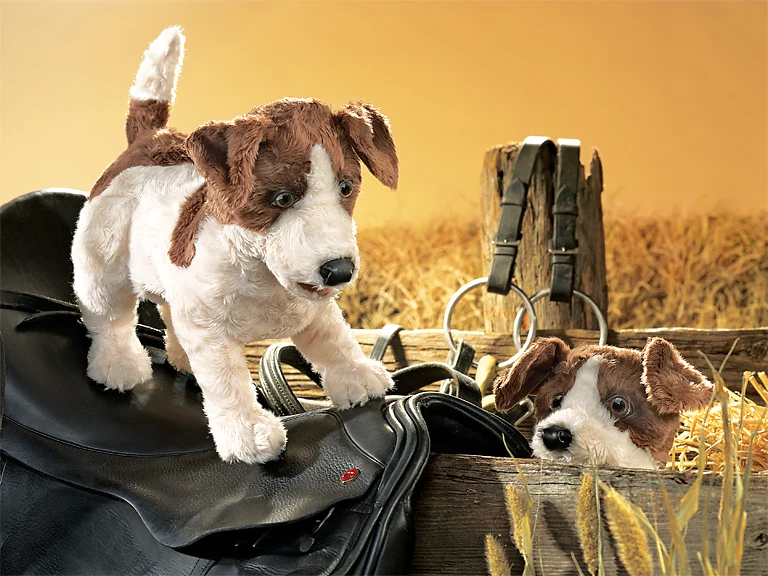 Marionnette Chien Jack Russell